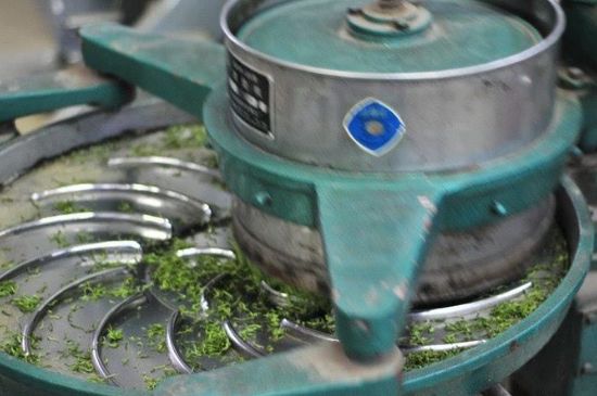 武夷巖茶的初制、精制加工工藝詳細(xì)講解