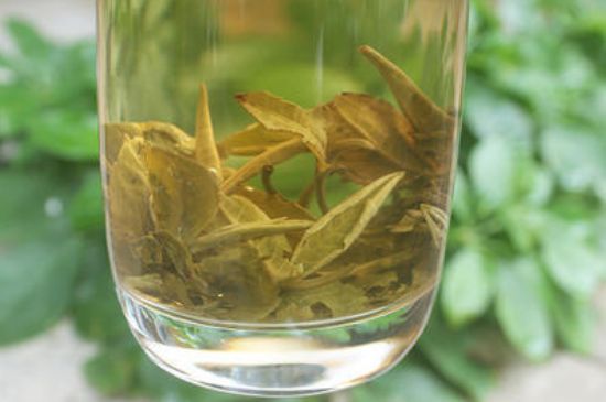 茉莉龍珠泡開后為什么都是梗，茉莉龍珠泡開后什么樣？