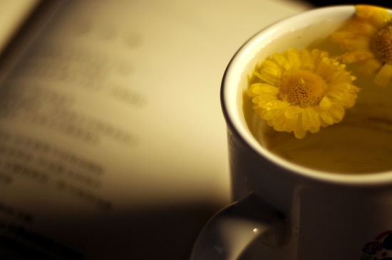 經(jīng)常菊花泡水好嗎，喝菊花茶有什么好處？