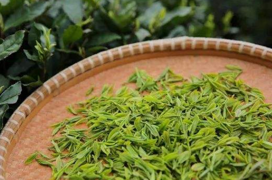 炒青綠茶與綠茶的區(qū)別，烘青和炒青哪個(gè)好喝？