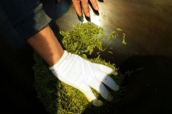 茶葉怎么炒制才香，怎樣炒茶葉更香？