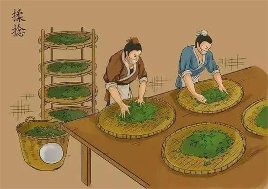 制茶八步驟，制茶工藝流程圖