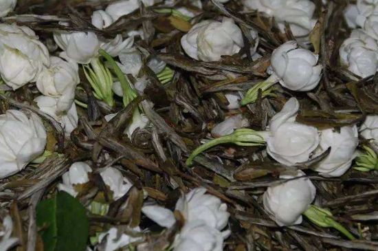 茉莉龍珠怎么做的，茉莉龍珠的制作工藝