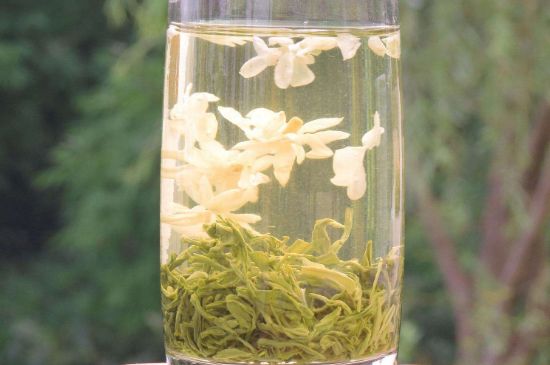 茉莉龍珠可以和什么一起泡茶，茉莉龍珠茶能加蜂蜜嗎？