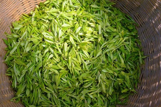 烏牛早和龍井的區(qū)別圖片，龍井43號(hào)和烏牛早茶的對(duì)比