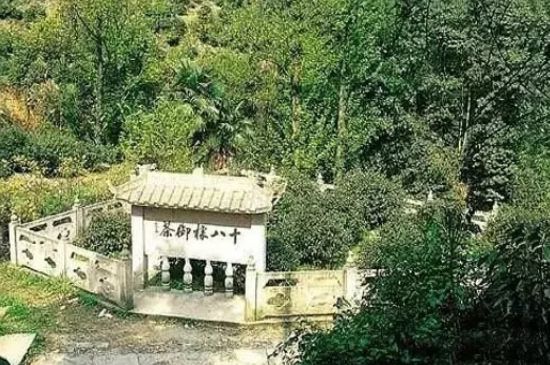 母樹大紅袍給誰喝了，為什么母樹大紅袍叫三棵六株？