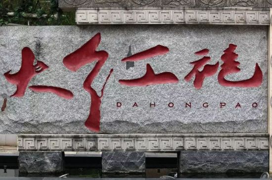 母樹大紅袍給誰喝了，為什么母樹大紅袍叫三棵六株？
