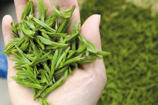 潮汕炒茶屬于什么茶，潮汕炒茶是綠茶嗎？