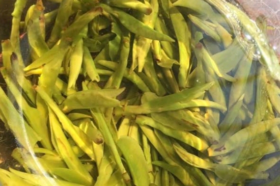 龍井是明前的好還是雨前的好，明前茶和雨前茶哪個(gè)好喝？