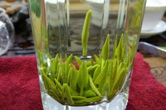 雀舌有一股青草味，雀舌為什么有青草味？