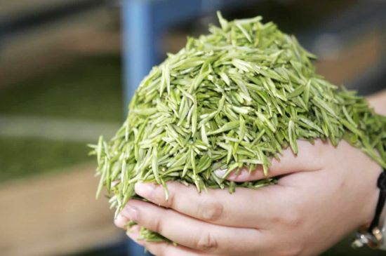 高山云霧茶屬于什么茶，高山云霧茶哪里的最好