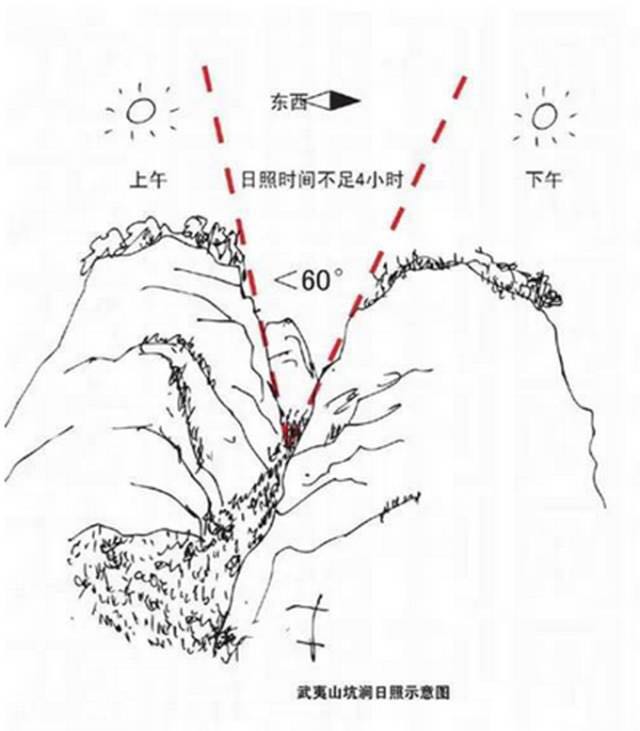 武夷山為什么盛產(chǎn)茶葉，武夷山茶為什么好喝？