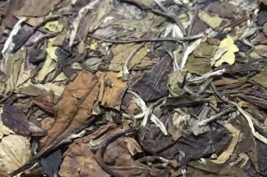 老白茶上火還是去火？夏季喝煮的老白茶會容易上火！