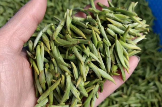龍井茶好壞的鑒別圖片，如何區(qū)別龍井茶的好壞？