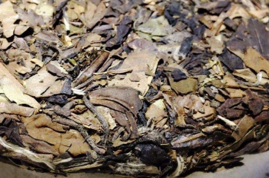 煮茶的步驟圖解，正確的煮白茶方法！