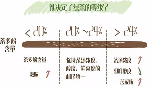 什么綠茶口味重口感濃郁，口味比較重的綠茶都有那些？