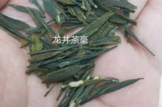 西湖龍井茶毫和發(fā)霉區(qū)別圖片，長霉的龍井茶葉會是什么樣？