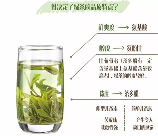 什么綠茶口味重口感濃郁，口味比較重的綠茶都有那些？