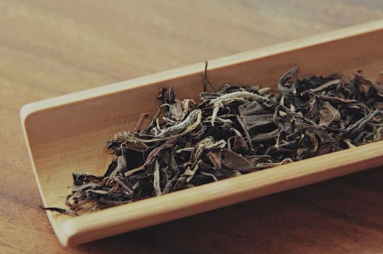 怎么撬老白茶茶餅不容易碎，福鼎白茶如何撬茶方法