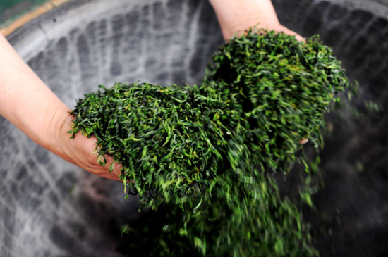 潮汕炒茶屬于什么茶，潮汕炒茶是綠茶嗎？