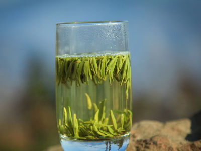 竹葉青茶怎么樣，檔次較高味道略苦價格比較貴