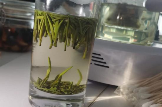 金壇雀舌算不算好茶，金壇雀舌屬于什么檔次茶葉？