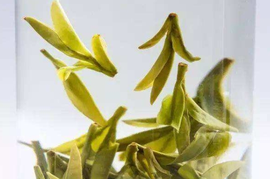 烏牛早和龍井的區(qū)別圖片，龍井43號(hào)和烏牛早茶的對(duì)比