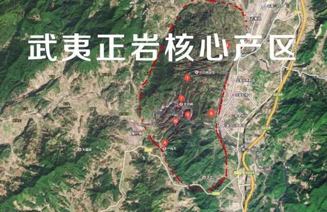 武夷山為什么盛產(chǎn)茶葉，武夷山茶為什么好喝？