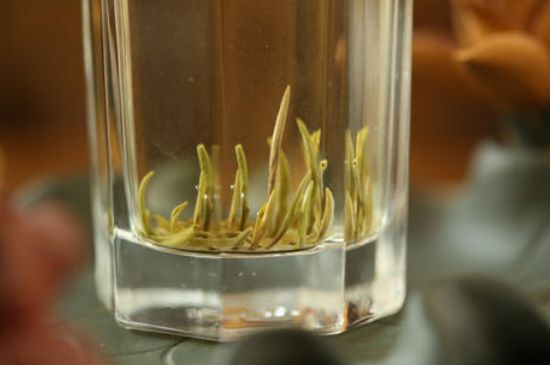 踏雪蘭妃是什么茶，踏雪蘭妃是哪里的茶葉?
