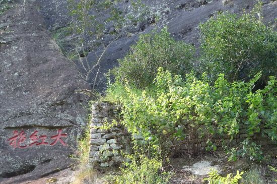 母樹大紅袍給誰喝了，為什么母樹大紅袍叫三棵六株？