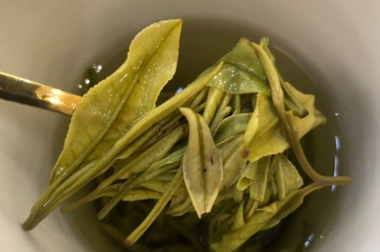 新舊白茶怎么區(qū)分，怎么分辨白茶是新還是舊