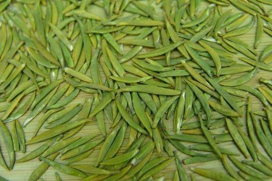 竹葉青和毛尖的區(qū)別，毛尖和竹葉青怎么分辨？