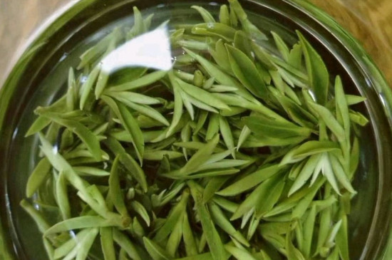 什么綠茶茶葉唇齒留香，哪個品種綠茶香氣好？