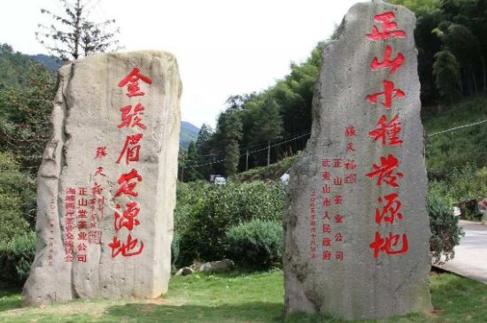 300塊錢的金駿眉能喝嗎，兩三百多金駿眉和一千多區(qū)別