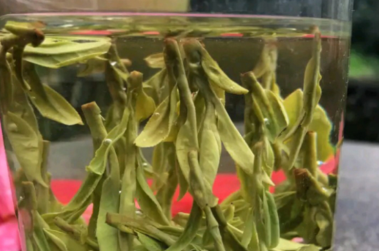 什么綠茶最香最好喝，綠茶口感與香氣排名