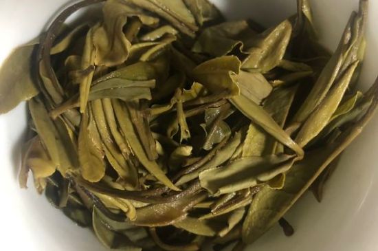 三年白茶賽砒霜，這是真的嗎？