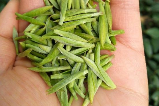 什么綠茶味道濃香，那個(gè)綠茶比較濃香？