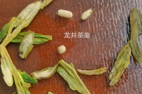 西湖龍井茶毫和發(fā)霉區(qū)別圖片，長霉的龍井茶葉會是什么樣？