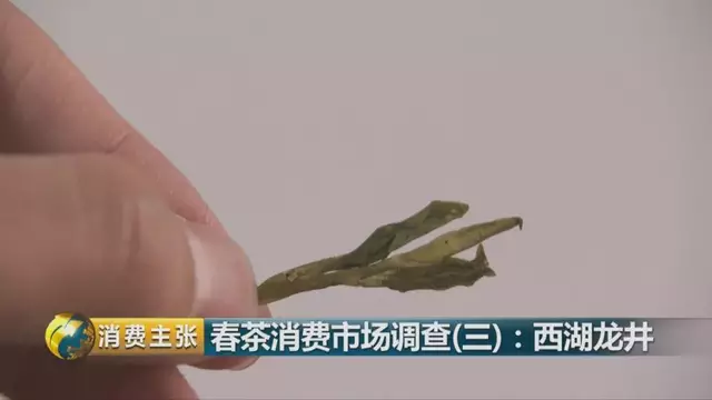 龍井群體種和43號的區(qū)別圖片，龍井43和群體種哪個好喝？