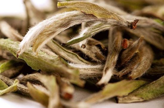 荒野銀針有什么特點(diǎn)，荒野銀針的味道口感咋樣？