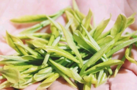 龍井是明前的好還是雨前的好，明前茶和雨前茶哪個(gè)好喝？