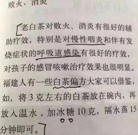 老白茶上火還是去火？夏季喝煮的老白茶會容易上火！