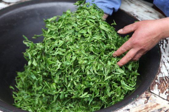 潮汕炒茶屬于什么茶，潮汕炒茶是綠茶嗎？