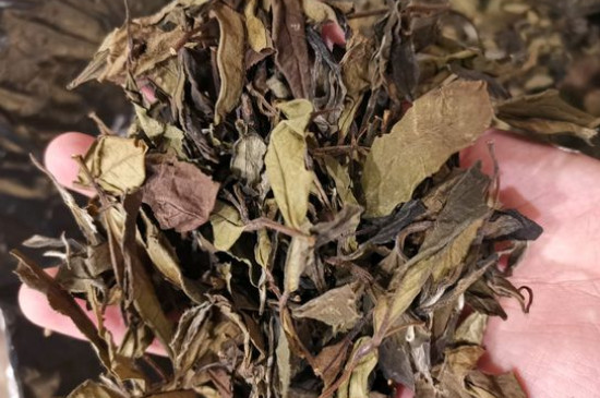 新舊白茶怎么區(qū)分，怎么分辨白茶是新還是舊