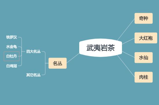 武夷巖茶品種大全，巖茶有幾種？