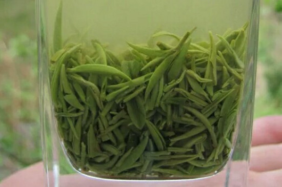 什么綠茶茶葉唇齒留香，哪個品種綠茶香氣好？