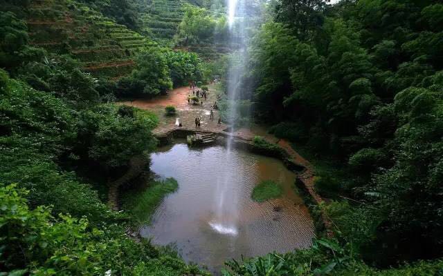 武夷山為什么盛產(chǎn)茶葉，武夷山茶為什么好喝？
