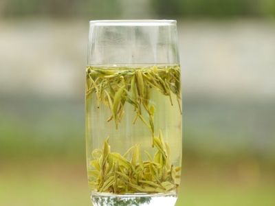霍山黃芽算是好茶嗎，霍山黃芽屬于什么茶？