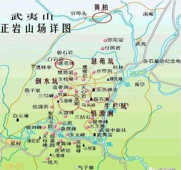 300塊錢的金駿眉能喝嗎，兩三百多金駿眉和一千多區(qū)別
