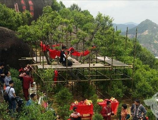 宋種一號價值為什么高，鳳凰單樅宋種1號價格與產(chǎn)量多少？